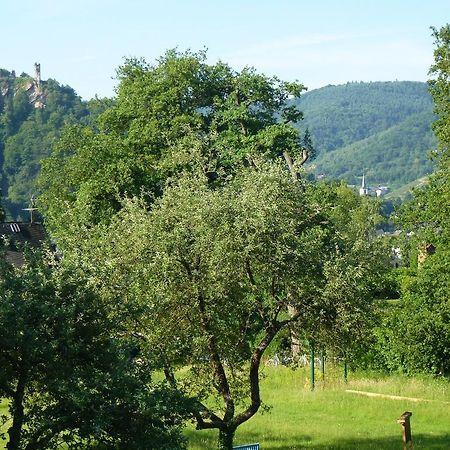 Feriendomizil Im Plantert Apartment Traben-Trarbach Luaran gambar